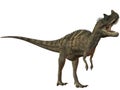 Ceratosaurus nasicornis-3D Dinosaur Royalty Free Stock Photo