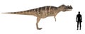 Ceratosaurus Size Comparison