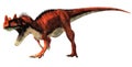 Ceratosaurus on White Background