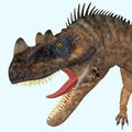 Ceratosaurus Dinosaur Head Royalty Free Stock Photo