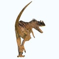 Ceratosaurus Dinosaur Tail Royalty Free Stock Photo