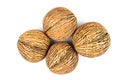 Cerbera odollam dried seed Royalty Free Stock Photo