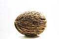 Cerbera odollam , seed ball Royalty Free Stock Photo