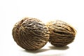 Cerbera odollam , seed ball Royalty Free Stock Photo