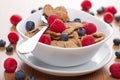 Cereal with berries Royalty Free Stock Photo