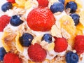 Cereal with berry fruits Royalty Free Stock Photo