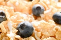 Cereal with Blueberries and Milk