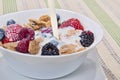 Cereal Bowl Royalty Free Stock Photo