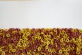 Cereal cheerios background, delicious rings breakfast cereal Royalty Free Stock Photo