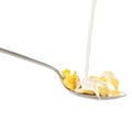 Cereal cornflakes and milk Royalty Free Stock Photo