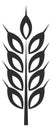 Cereal crop symbol. Black bread wheat ear