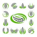 Cereal ears and grains agriculture industry or logo badge design vector food illustration organic natural symbol Royalty Free Stock Photo