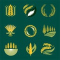 Cereal ears and grains agriculture industry or logo badge design vector food illustration organic natural symbol Royalty Free Stock Photo