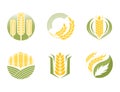 Cereal ears and grains agriculture industry or logo badge design vector food illustration organic natural symbol Royalty Free Stock Photo