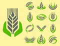 Cereal ears and grains agriculture industry or logo badge design vector food illustration organic natural symbol Royalty Free Stock Photo