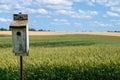 Cereal Field Agricultural Background with Birdhouse