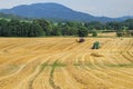 Cereal field covered with yellow stubble Royalty Free Stock Photo