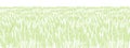 Cereal field. Leaves and ears of wheat. Agriculture straw. Horizontal banner background. Green grass meadow. Contour