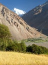 Cereal field Wakhan valley Hindukush Pamir mountains