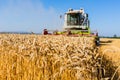 Cereal field of wheat at harvest Royalty Free Stock Photo