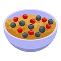 Cereal flakes bowl with berry icon, isometric style