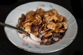 Cereal flakes for breakfast in a plate with milk.