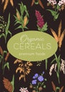 Cereal food package design with background for text and grain crops pattern. Organic premium pack template with