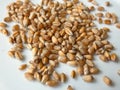 Cereal Grains Royalty Free Stock Photo