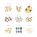 Cereal grains flat vector icons set