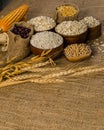 agriculture products,grains and cereal Royalty Free Stock Photo