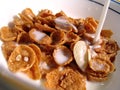 Cereal, Milk Pouring In Royalty Free Stock Photo