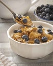 Cereal Royalty Free Stock Photo