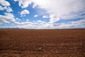 Cereal rice fields in fallow after harvest at Mediterranean