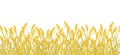 Cereal rye field banner background. Yellow gold autumn agricultural plant grass. Barley vector illustration Royalty Free Stock Photo