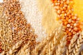 Cereal seeds and wheat ears Royalty Free Stock Photo