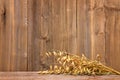 Cereal: spikelets rye, oats, wheat on wooden background. Wooden background in rustic style with wheat spikelets