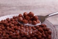 Cereales brekfast with milk. Wooden background Royalty Free Stock Photo