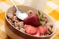 Cereals bowl Royalty Free Stock Photo