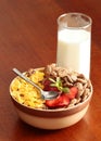 Cereals bowl Royalty Free Stock Photo