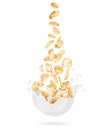 Cereals are falling into milk splashes isolated on white background