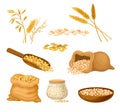 Cereals or Grain Crops with Dry Seeds in Sack Vector Set