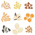 Cereals grains icon set Royalty Free Stock Photo