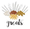 Cereals and grains. vector illustration Royalty Free Stock Photo