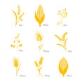 Cereals icon crop barley oats wheat rice maize complex Royalty Free Stock Photo