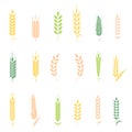 Wheat ears or rice icons set. Royalty Free Stock Photo