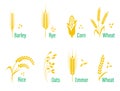 Cereals icon set with rice, wheat, corn, oats, rye, barley.