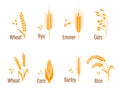 Cereals icon set.