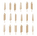 Cereals icon set with rice, wheat, corn, oats, rye, barley. Ears of wheat bread symbols. Vector illustration Royalty Free Stock Photo