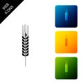 Cereals icon set with rice, wheat, corn, oats, rye, barley icon isolated. Ears of wheat bread symbols. Agriculture wheat Royalty Free Stock Photo