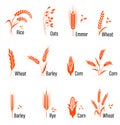 Cereals icon set with wheat. Royalty Free Stock Photo